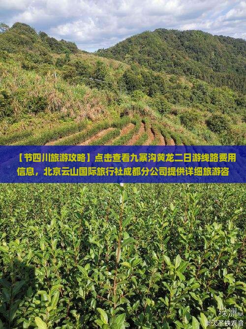 【节四川旅游攻略】点击查看九寨沟黄龙二日游线路费用信息，北京云山国际旅行社成都分公司提供详细旅游咨询