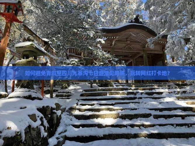 如何避免青岛至四川九寨沟七日游常见陷阱，玩转网红打卡地？