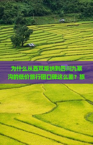 为什么从西双版纳到四川九寨沟的低价旅行团口碑这么差？旅拍+私家团新玩法推荐