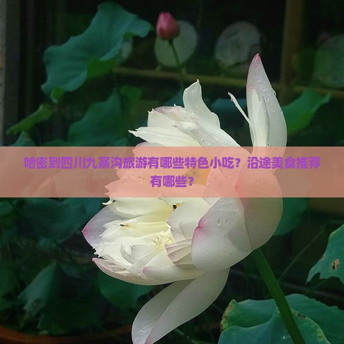 哈密到四川九寨沟旅游有哪些特色小吃？沿途美食推荐有哪些？