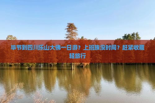 毕节到四川乐山大佛一日游？上班族没时间？赶紧收藏轻旅行