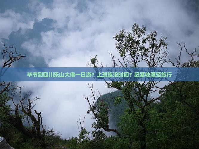 毕节到四川乐山大佛一日游？上班族没时间？赶紧收藏轻旅行