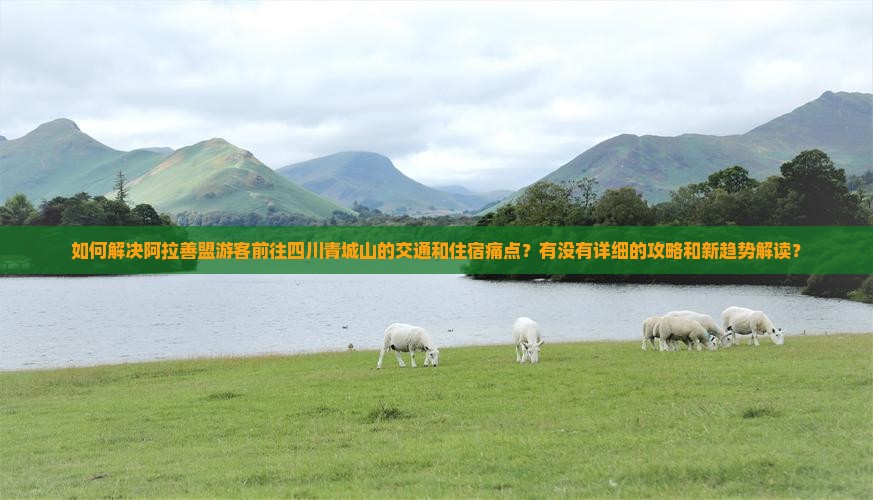如何解决阿拉善盟游客前往四川青城山的交通和住宿痛点？有没有详细的攻略和新趋势解读？