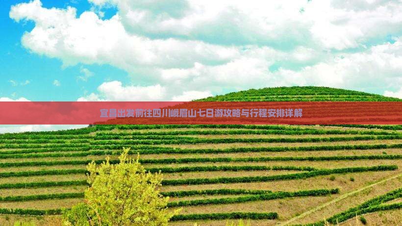 宜昌出发前往四川峨眉山七日游攻略与行程安排详解