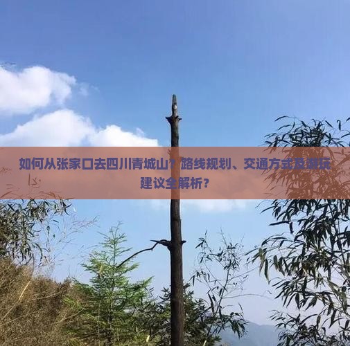 如何从张家口去四川青城山？路线规划、交通方式及游玩建议全解析？