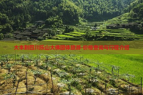 大丰到四川乐山大佛团体旅游-价格查询与行程介绍