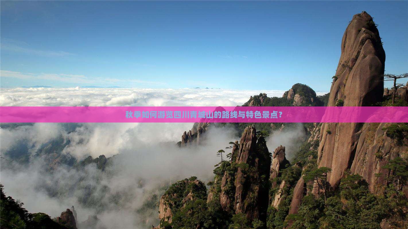 秋季如何游览四川青城山的路线与特色景点？