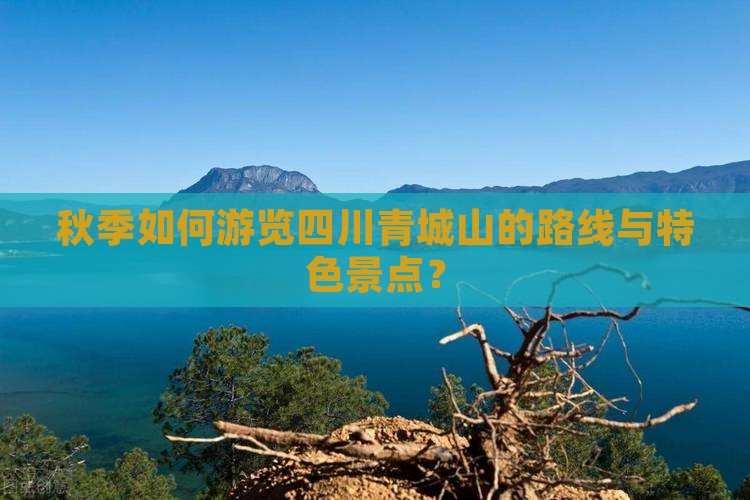 秋季如何游览四川青城山的路线与特色景点？