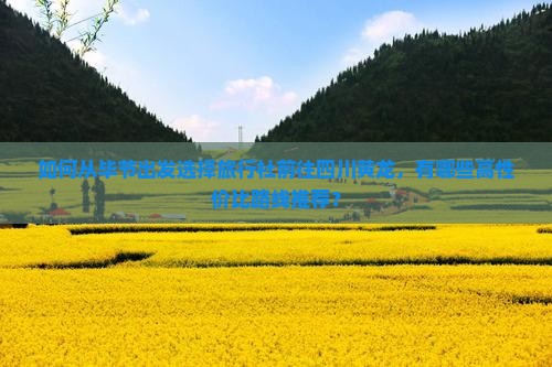 如何从毕节出发选择旅行社前往四川黄龙，有哪些高性价比路线推荐？