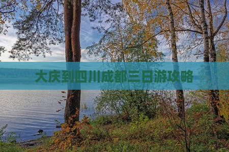 大庆到四川成都三日游攻略