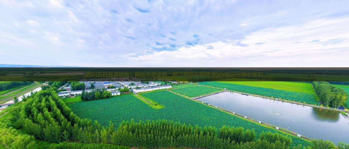 四川五日旅游攻略：阿拉尔至成都、都江堰精品路线 由XX旅行社精心策划