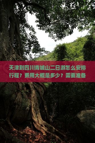 天津到四川青城山二日游怎么安排行程？费用大概是多少？需要准备什么？