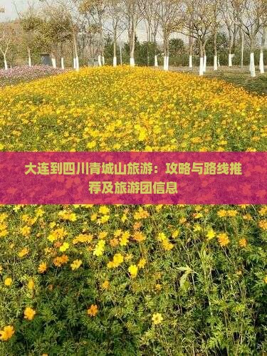 大连到四川青城山旅游：攻略与路线推荐及旅游团信息