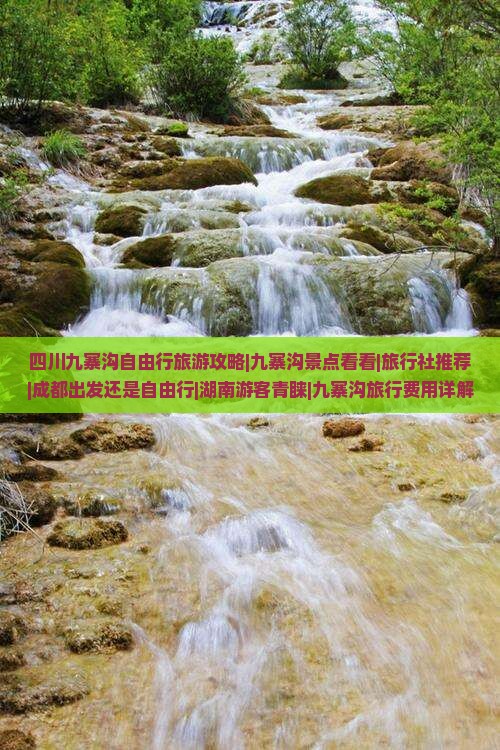 四川九寨沟自由行旅游攻略|九寨沟景点看看|旅行社推荐|成都出发还是自由行|湖南游客青睐|九寨沟旅行费用详解