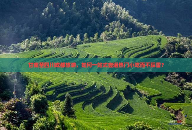 甘南至四川成都旅游，如何一站式尝遍热门小吃而不踩雷？