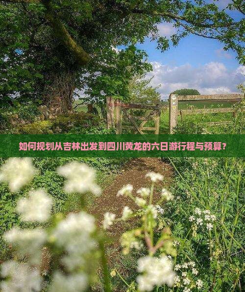 如何规划从吉林出发到四川黄龙的六日游行程与预算？