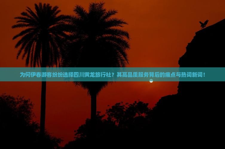 为何伊春游客纷纷选择四川黄龙旅行社？其高品质服务背后的痛点与热词新词！