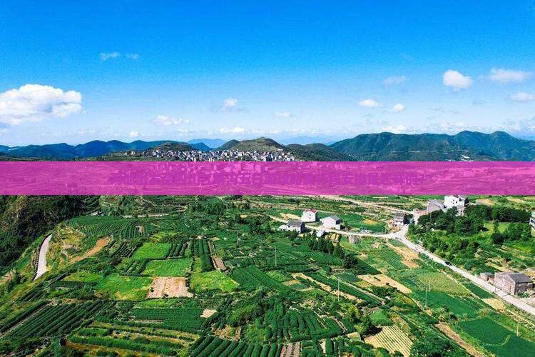 河池出发至四川九寨沟五日游攻略及行程安排是怎样的？