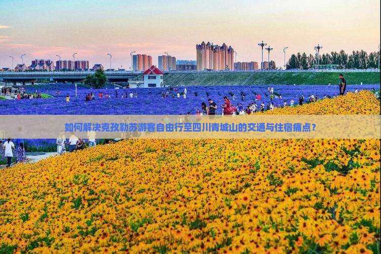 如何解决克孜勒苏游客自由行至四川青城山的交通与住宿痛点？