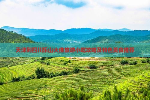 天津到四川乐山大佛旅游小吃攻略及特色美食推荐