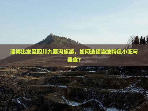 淄博出发至四川九寨沟旅游，如何选择当地特色小吃与美食？