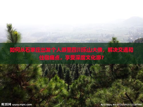 如何从石家庄出发个人游至四川乐山大佛，解决交通和住宿痛点，享受深度文化游？