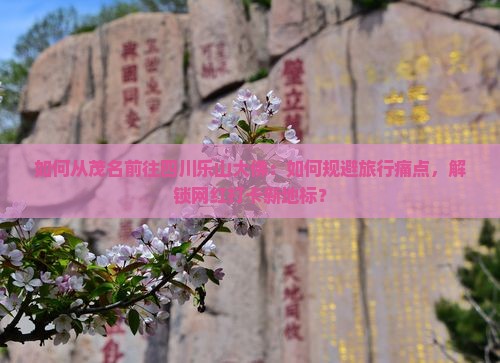 如何从茂名前往四川乐山大佛：如何规避旅行痛点，解锁网红打卡新地标？