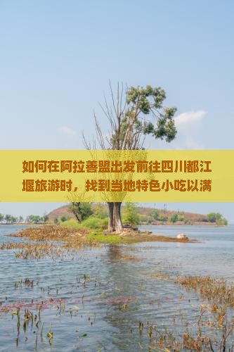 如何在阿拉善盟出发前往四川都江堰旅游时，找到当地特色小吃以满足味蕾需求？