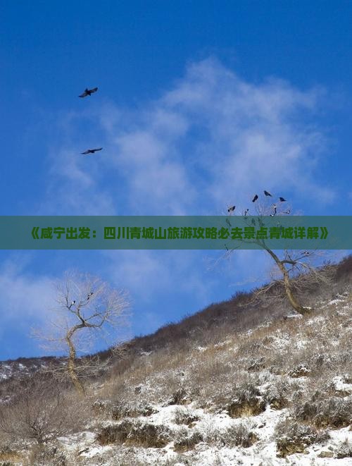 《咸宁出发：四川青城山旅游攻略必去景点青城详解》