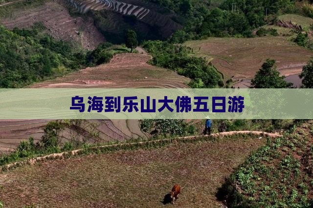 乌海到乐山大佛五日游