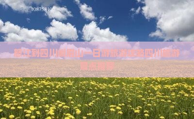 怒江到四川峨眉山一日游旅游攻略四川旅游景点推荐