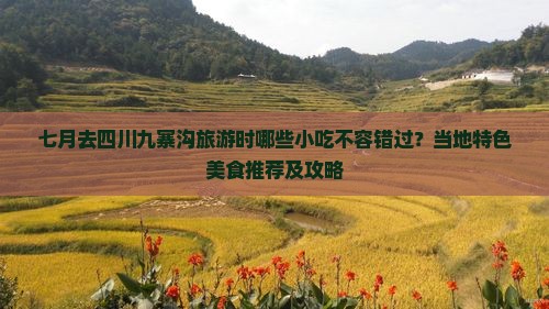 七月去四川九寨沟旅游时哪些小吃不容错过？当地特色美食推荐及攻略