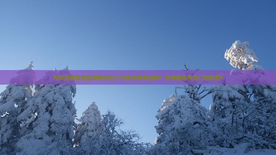 为何吕梁自由团游客对四川九寨沟情有独钟？旅游痛点与热门新趋势！