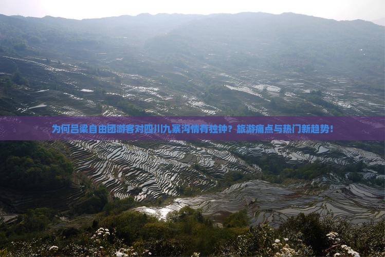 为何吕梁自由团游客对四川九寨沟情有独钟？旅游痛点与热门新趋势！