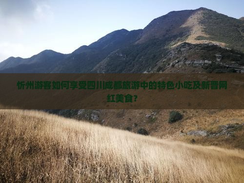 忻州游客如何享受四川成都旅游中的特色小吃及新晋网红美食？