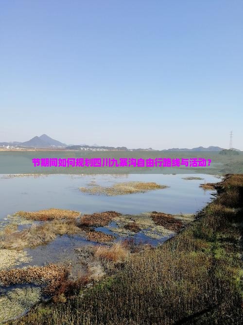 节期间如何规划四川九寨沟自由行路线与活动？