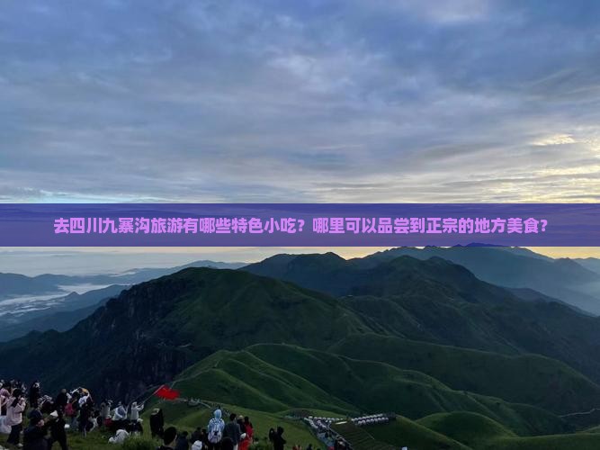 去四川九寨沟旅游有哪些特色小吃？哪里可以品尝到正宗的地方美食？