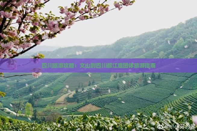 四川旅游攻略：文山到四川都江堰团体旅游指南