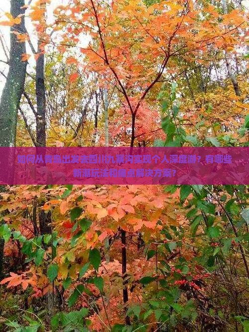 如何从青岛出发去四川九寨沟实现个人深度游？有哪些新潮玩法和痛点解决方案？