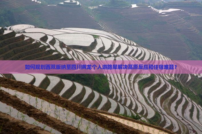 如何规划西双版纳至四川黄龙个人游路犀解决高原反应和住宿难题？