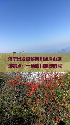 济宁出发探秘四川峨眉山旅游景点：一场四川旅游的深度景点之旅