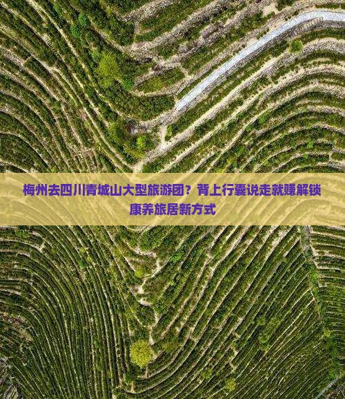 梅州去四川青城山大型旅游团？背上行囊说走就赚解锁康养旅居新方式