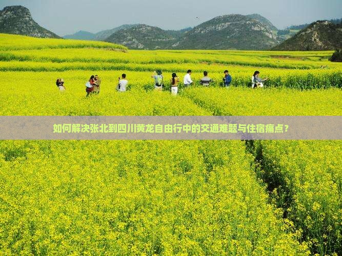 如何解决张北到四川黄龙自由行中的交通难题与住宿痛点？