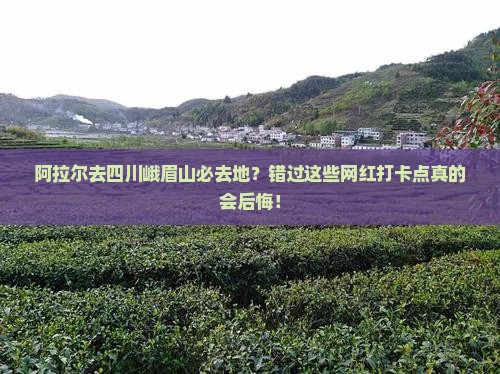 阿拉尔去四川峨眉山必去地?错过这些网红打卡点真的会后悔! 阿拉尔去四川峨眉山必去地?错过这些网红打卡点真的会后悔!