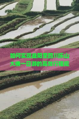 如何实现益阳至四川乐山大佛一日游的高效行程规划？