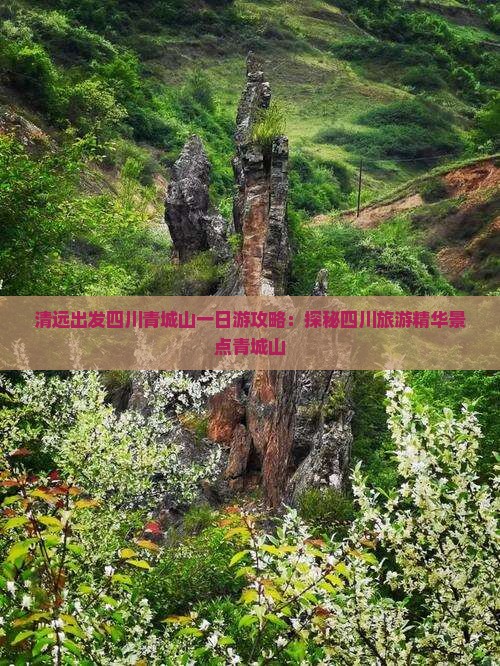 清远出发四川青城山一日游攻略：探秘四川旅游精华景点青城山