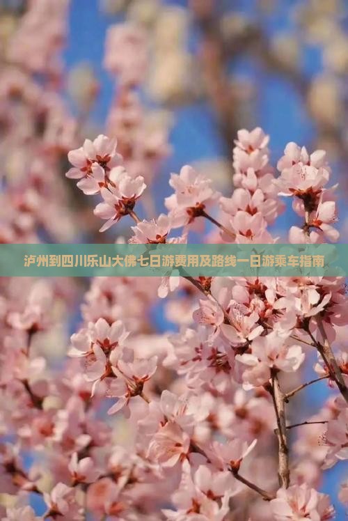 泸州到四川乐山大佛七日游费用及路线一日游乘车指南