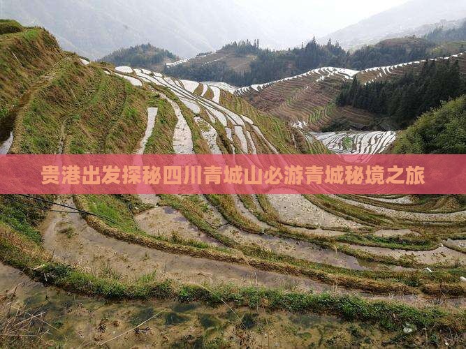 贵港出发探秘四川青城山必游青城秘境之旅
