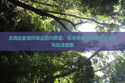 北海出发如何抵达四川黄龙：探寻黄龙美景的详细攻略与玩法指南