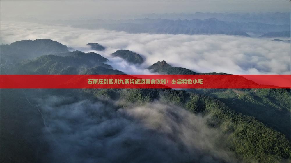 石家庄到四川九寨沟旅游美食攻略：必尝特色小吃